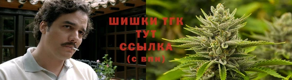 тгк Саяногорск