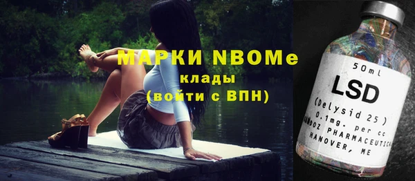дмт Богданович