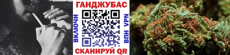Бошки марихуана планчик  Болотное 